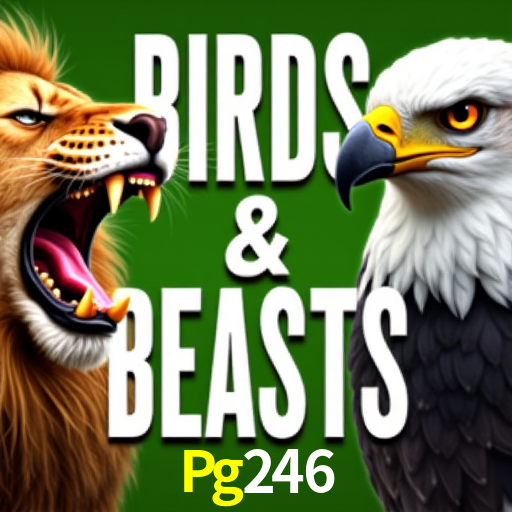 Pg246 Login Rápido